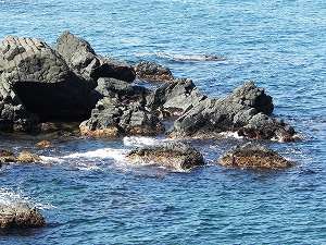 s-20111020 yamaguchi  (13).jpg